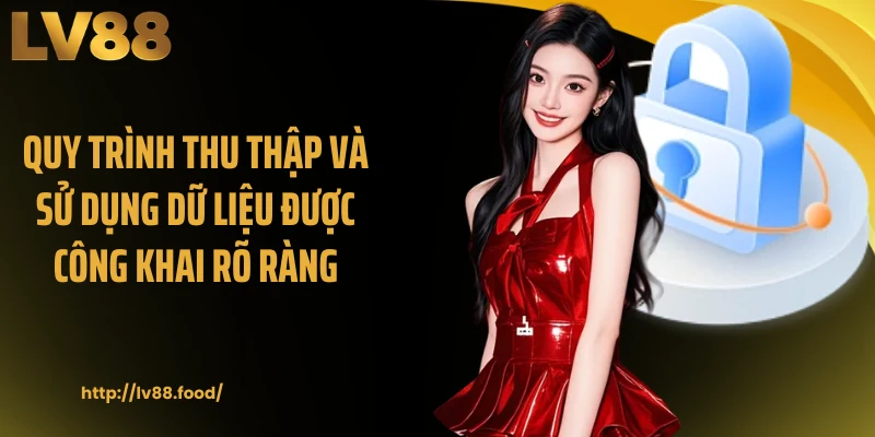 Quy trình thu thập và sử dụng dữ liệu được công khai rõ ràng